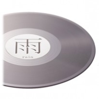 Endless Rain Record